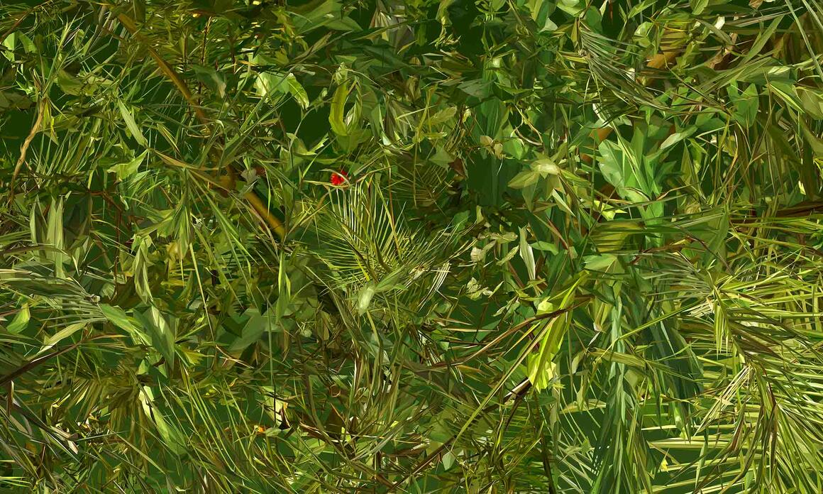 LIGHT ANIMATES ALBANO AFONSO'S FOREST IN MALLORCA