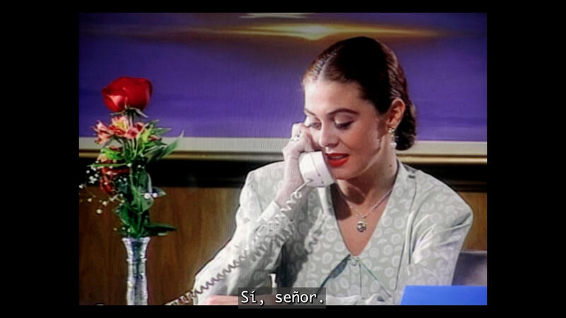 THE TELENOVELA AS A SUBJECT OF RESEARCH AT AMERICAS SOCIETY