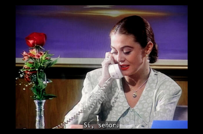 THE TELENOVELA AS A SUBJECT OF RESEARCH AT AMERICAS SOCIETY