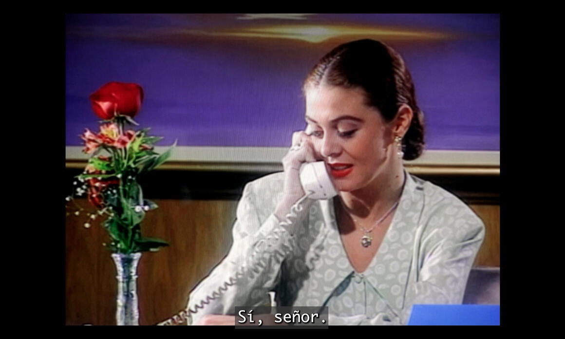 THE TELENOVELA AS A SUBJECT OF RESEARCH AT AMERICAS SOCIETY