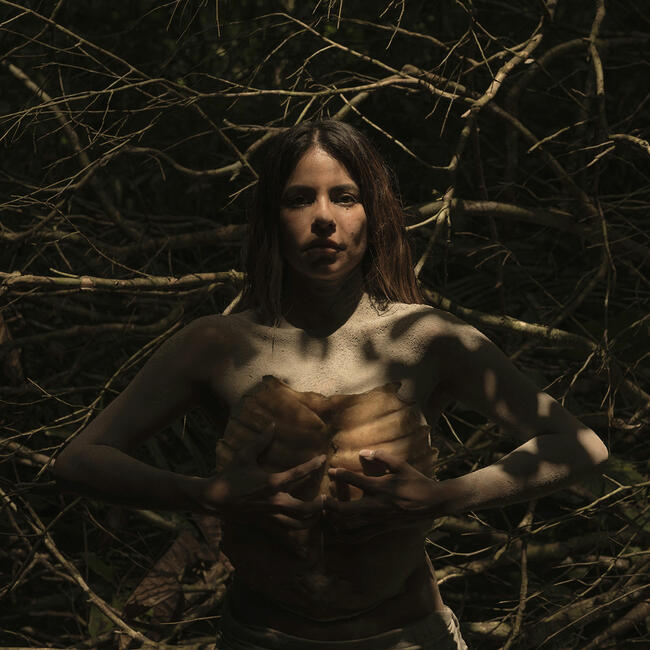 LINETT, ZEVALLOS VILLEGAS AND SARAVIA: LATIN AMERICAN PRESENCE IN VISIÓN Y PRESENCIA 2026