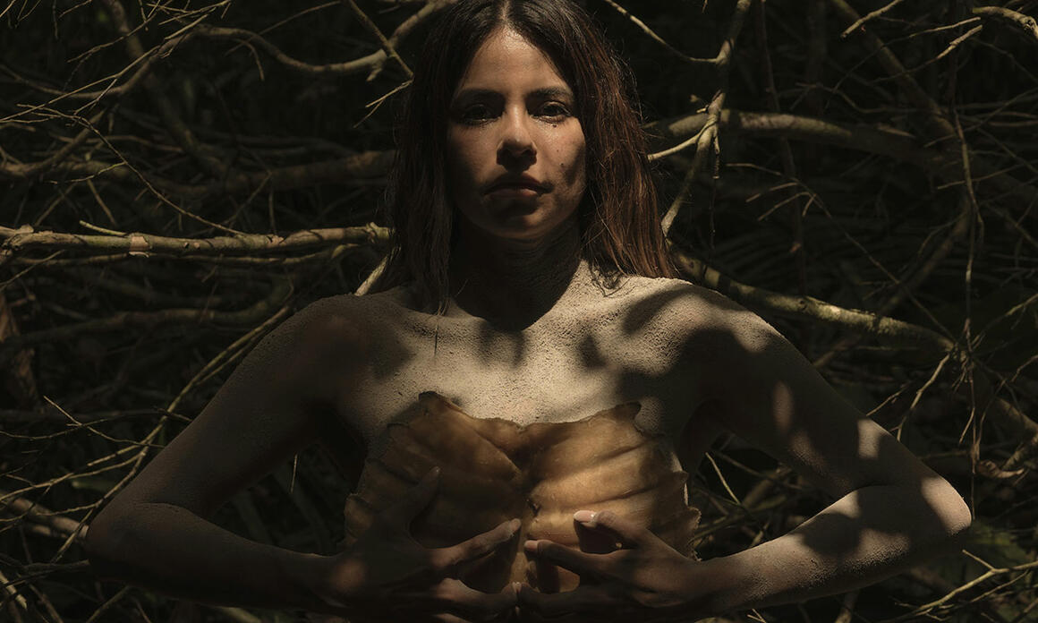 LINETT, ZEVALLOS VILLEGAS AND SARAVIA: LATIN AMERICAN PRESENCE IN VISIÓN Y PRESENCIA 2026