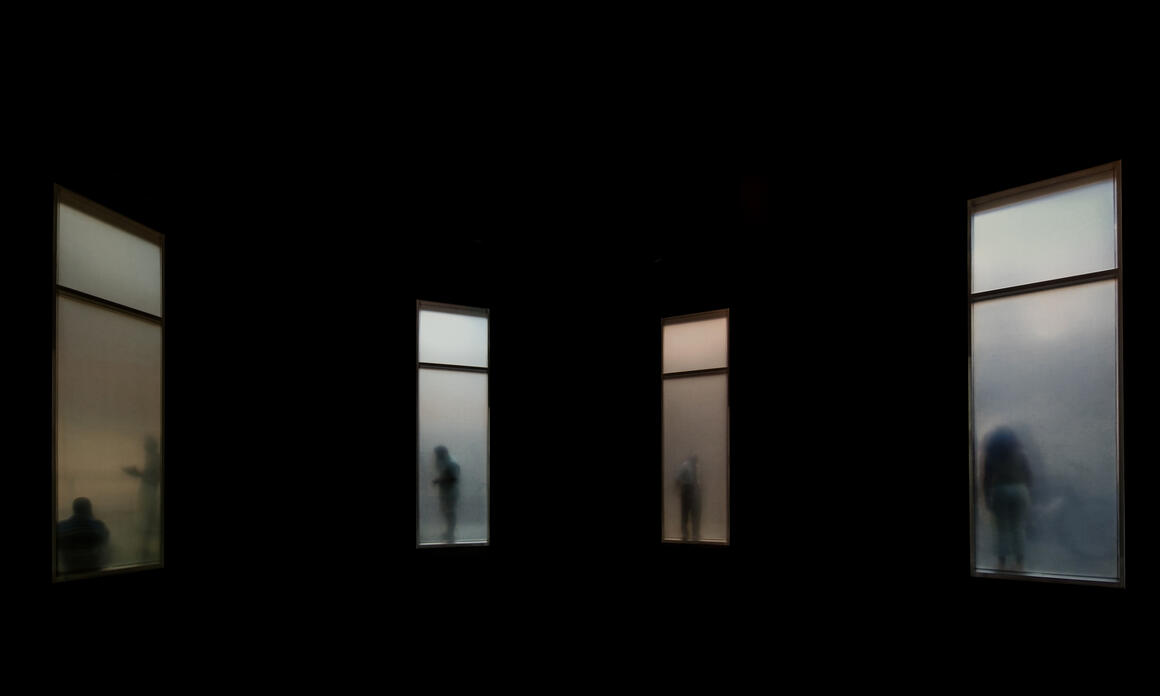 MACBA presents Collection MACBA 31