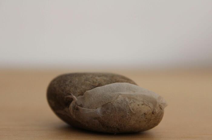 (Piedras encontradas y Piel  Dimensiones Variables) Molloy - de la serie Piedras de Humo, María Leguízamo,  2014 - 2018