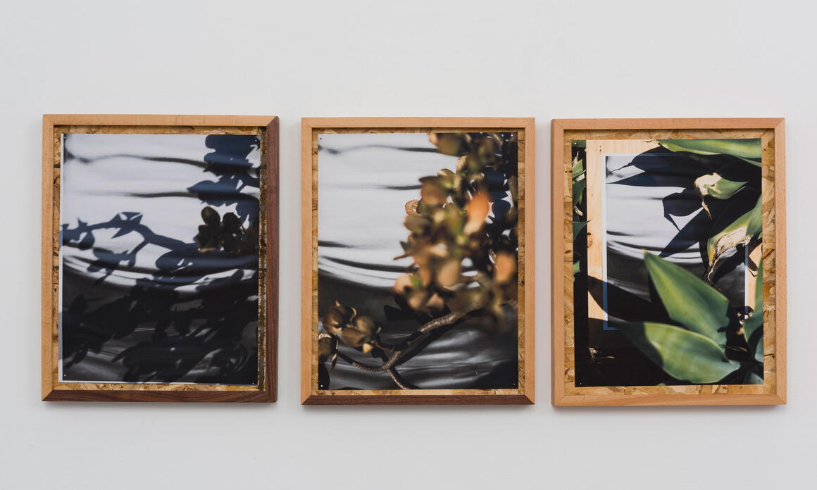 MoMA – COMPANION PIECES, NEW PHOTOGRAPHY 2020