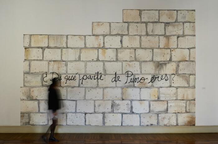 NEREIDA APAZA MAMANI: A HISTORY OF MIGRATION AND VIOLENCE AT THE ICPNA CULTURAL IN MIRAFLORES