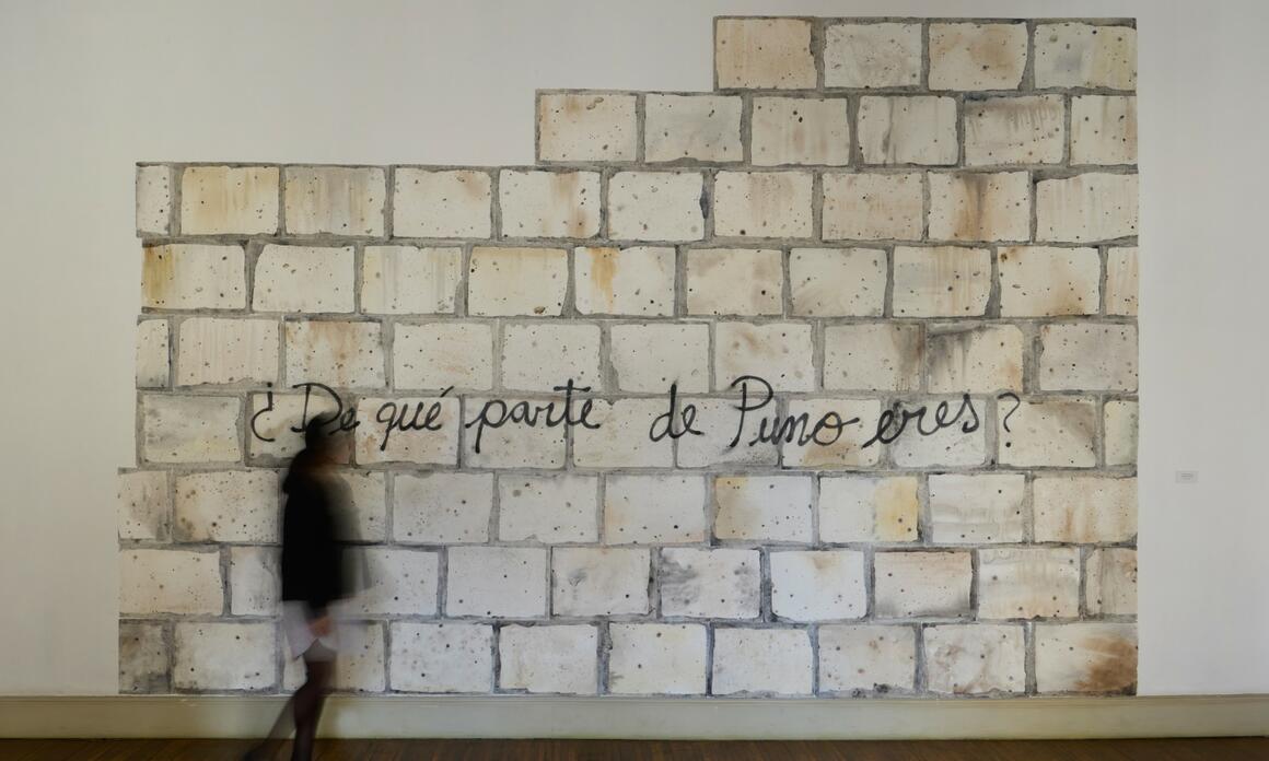 NEREIDA APAZA MAMANI: A HISTORY OF MIGRATION AND VIOLENCE AT THE ICPNA CULTURAL IN MIRAFLORES