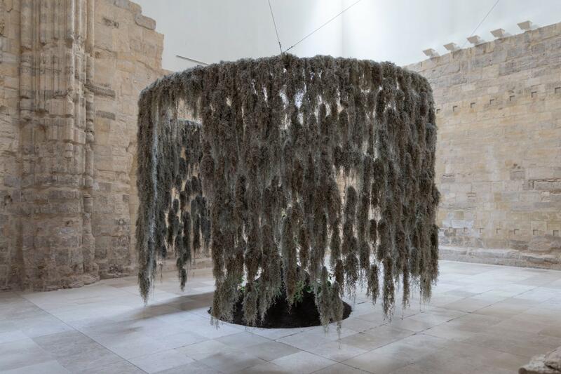 PAULO NAZARETH: IDENTITY AND THE FIGURE OF THE MOTHER IN VALLADOLID