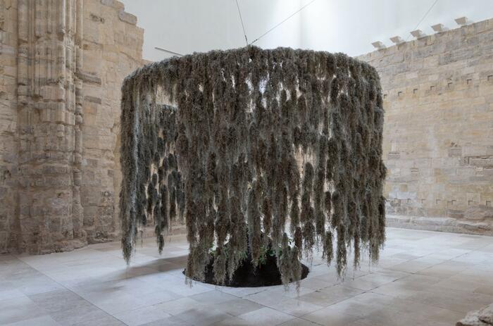 PAULO NAZARETH: IDENTITY AND THE FIGURE OF THE MOTHER IN VALLADOLID