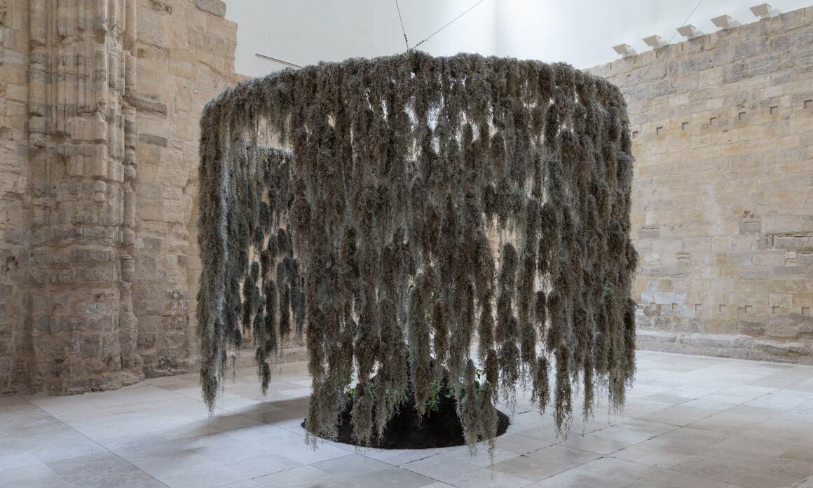 PAULO NAZARETH: IDENTITY AND THE FIGURE OF THE MOTHER IN VALLADOLID