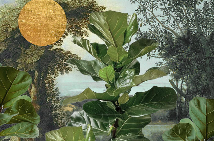 PINTA PANAMA ART WEEK 2026 REAFFIRMS THE COUNTRY AS A HUB FOR REGIONAL CONTEMPORARY ART