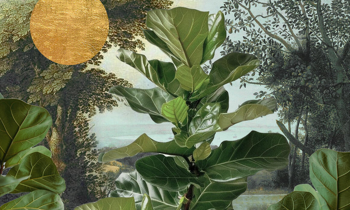 PINTA PANAMA ART WEEK 2026 REAFFIRMS THE COUNTRY AS A HUB FOR REGIONAL CONTEMPORARY ART