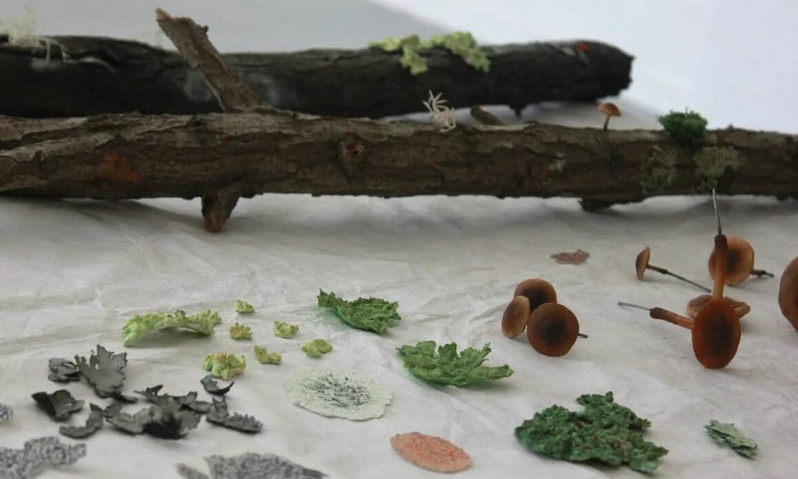 PUNTO DE VISTA: RODRIGO ARTEAGA'S EXHIBITION AT MAC
