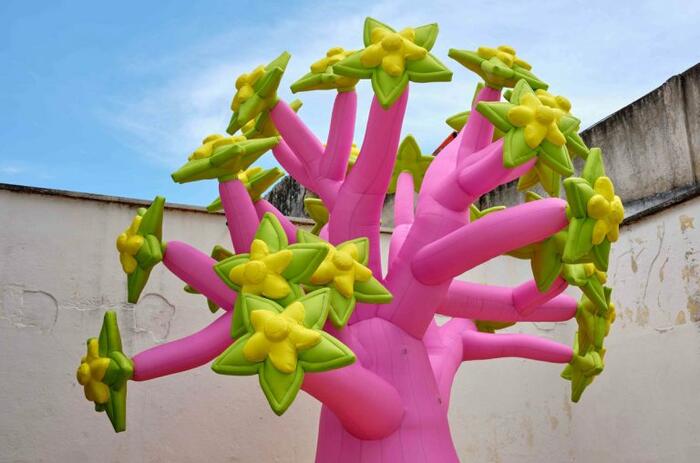 WHO IS THE CURATOR OF THE 25TH PAIZ ART BIENNIAL?