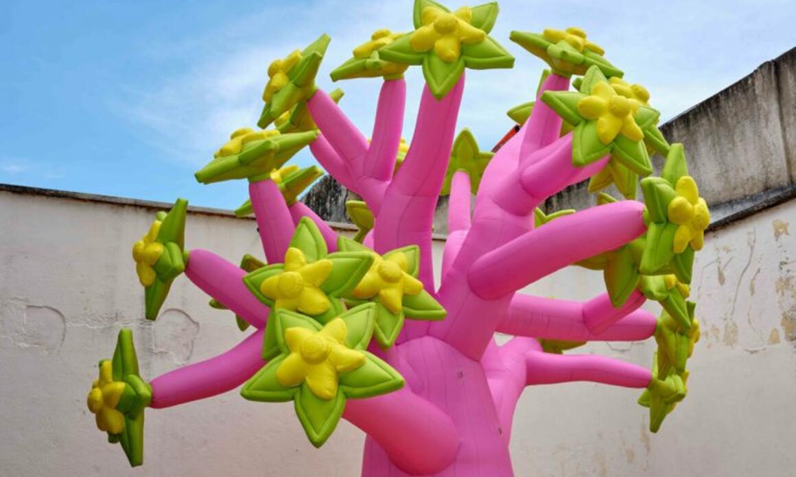 WHO IS THE CURATOR OF THE 25TH PAIZ ART BIENNIAL?
