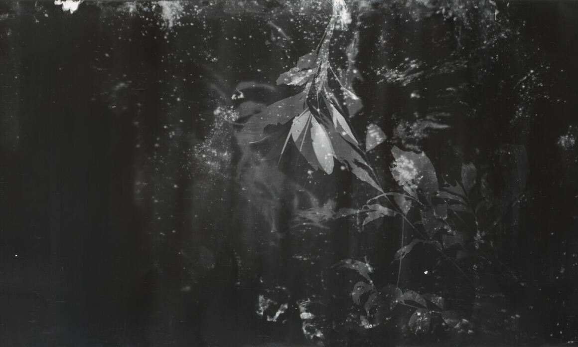 Amazonia,by Roberto Huarcaya , at Rolf gallery in Buenos Aires