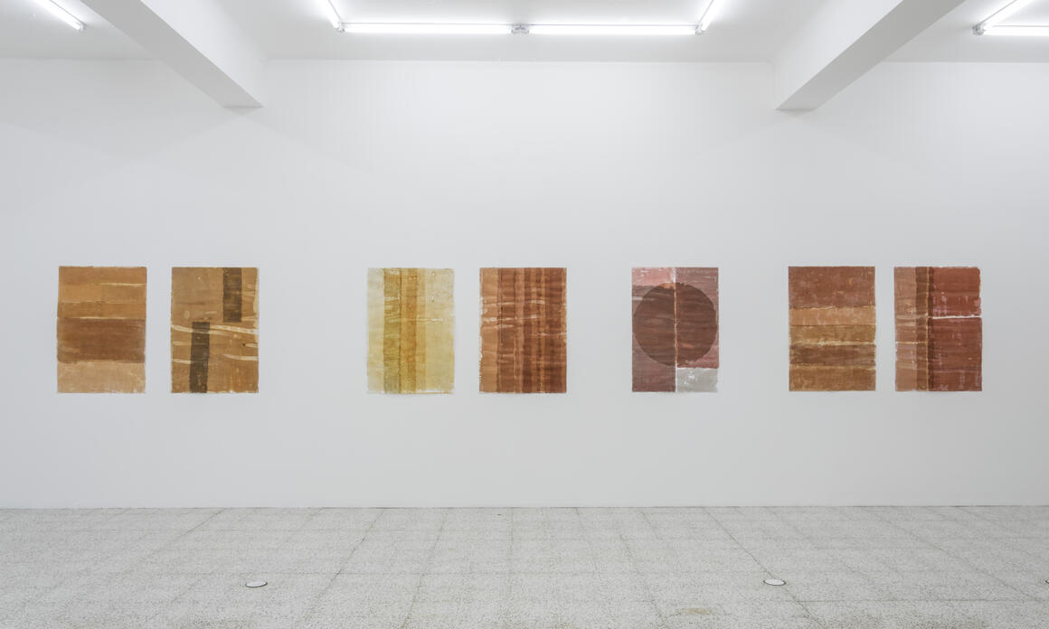 Sandra Monterroso presents Distorsions and Imperfections at The 9.99 Gallery