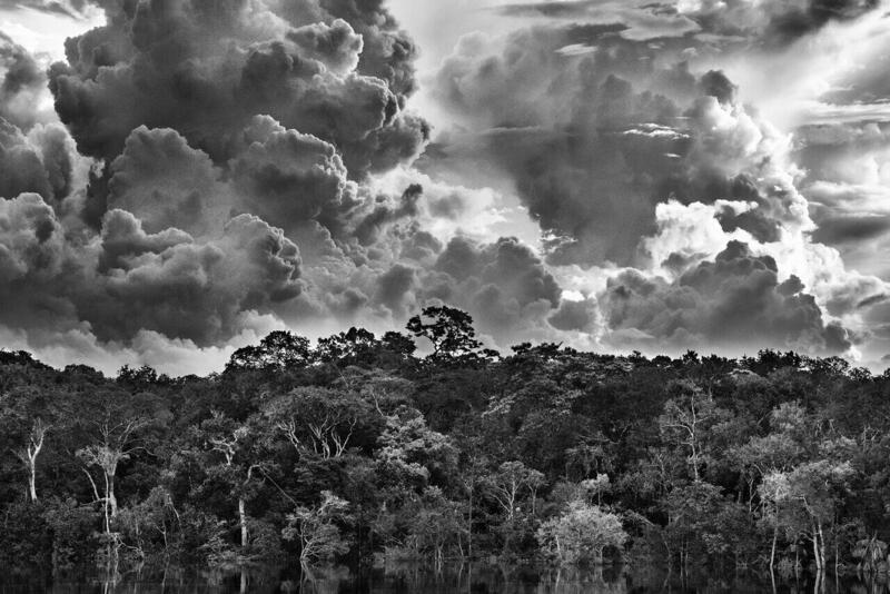 SEBASTIÃO SALGADO: AMAZÔNIA