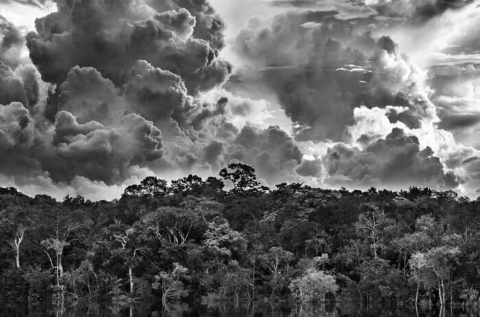 SEBASTIÃO SALGADO: AMAZÔNIA