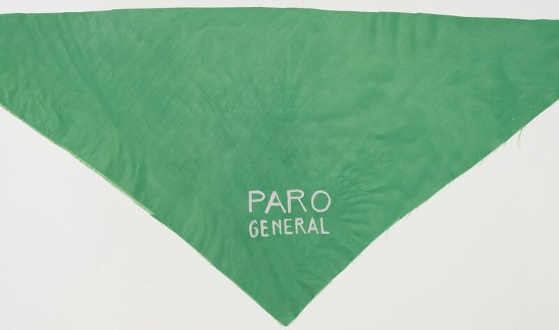 ARGENTINE QUEER COLLECTIVE AT MASP: ACTIVISM, REPRODUCTIVE RIGHTS AND DIVERSE IDENTITIES ARGENTINE QUEER COLLECTIVE AT MASP: ACTIVISM, REPRODUCTIVE RIGHTS AND DIVERSE IDENTITIES