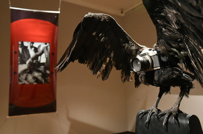 SIXTY YEARS OF LEANDRO KATZ, TOGETHER FOR THE FIRST TIME, AT THE BELLAS ARTES