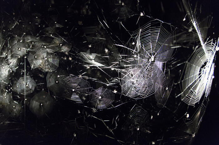 Tomás Saraceno presenta su primer exhibición individual en un museo de Argentina Tomás Saraceno presenta su primer exhibición individual en un museo de Argentina