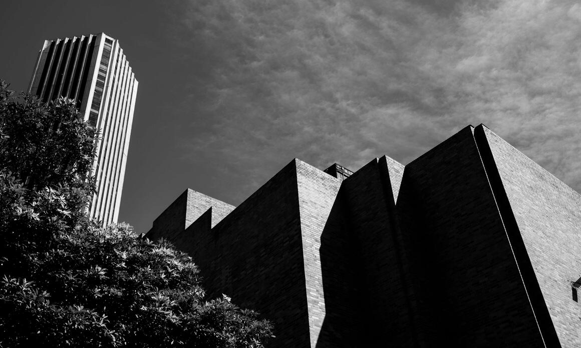 THREE EXHIBITIONS AT MAMBO: BETWEEN SHADOW, DREAMS, AND MEMORY