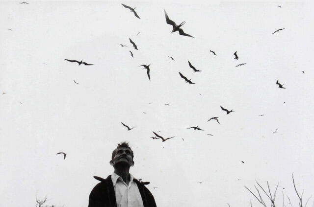 A JOURNEY THROUGH LATIN AMERICAN PHOTOGRAPHY AND A REFLECTION ON THE ROLE OF COLLECTING