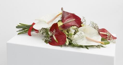 Flowers for Africa, Kapwani Kiwanga. Flowers for Africa, Kapwani Kiwanga.