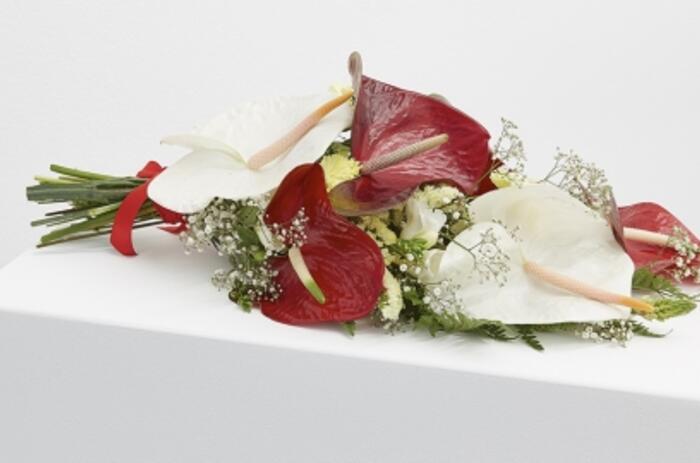 Flowers for Africa, Kapwani Kiwanga. Flowers for Africa, Kapwani Kiwanga.