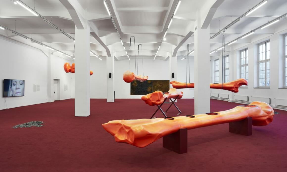 A HUMANISTIC VIEW OF HOW THE WORLD IS INHABITED AT KUNSTHAUS HAMBURG