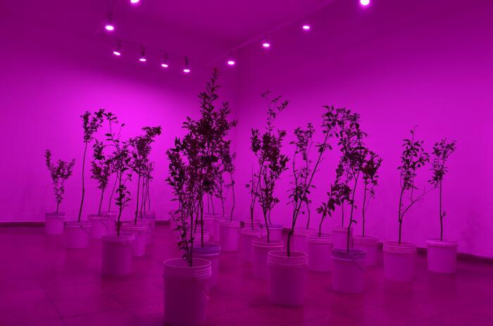 XXI INTERNATIONAL BIENNIAL OF ART OF SANTA CRUZ DE LA SIERRA 2019-2020 XXI INTERNATIONAL BIENNIAL OF ART OF SANTA CRUZ DE LA SIERRA 2019-2020
