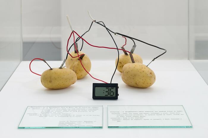 POTATOES AND PREMONITIONS: GRIPPO’S SUBTLETY AT ESPACIO FAN