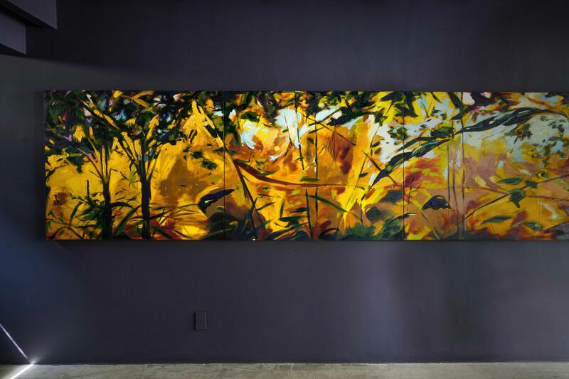 DISCOVERING WHERE THE SUN TAKES REFUGE AND TURNING IT INTO ART