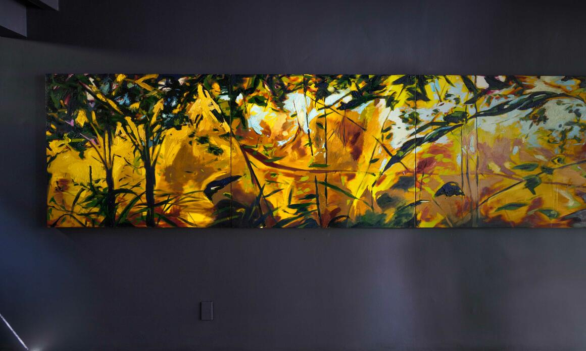 DISCOVERING WHERE THE SUN TAKES REFUGE AND TURNING IT INTO ART