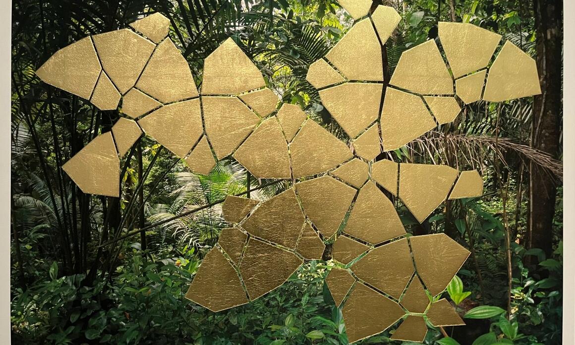 GOLDEN PRISM. WEALTH AS A TRAP