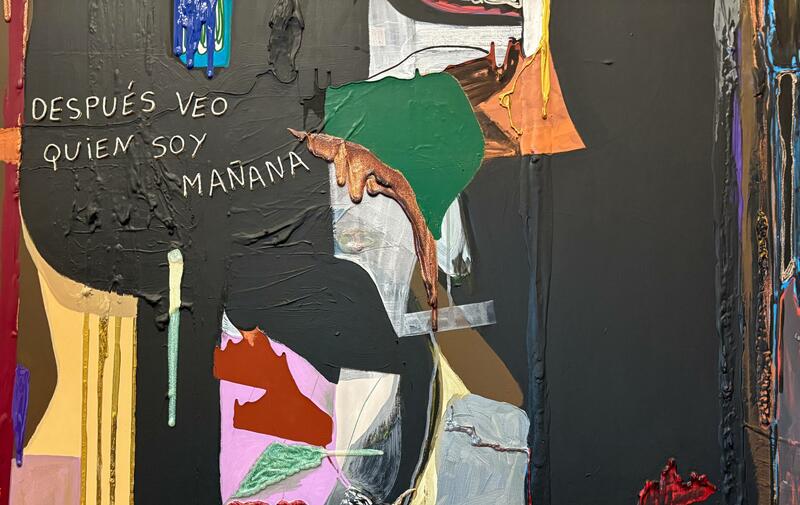 FICTIONS WITH SKIN, A READING OF RUTH BENZACAR'S AUTUMN EXHIBITIONS