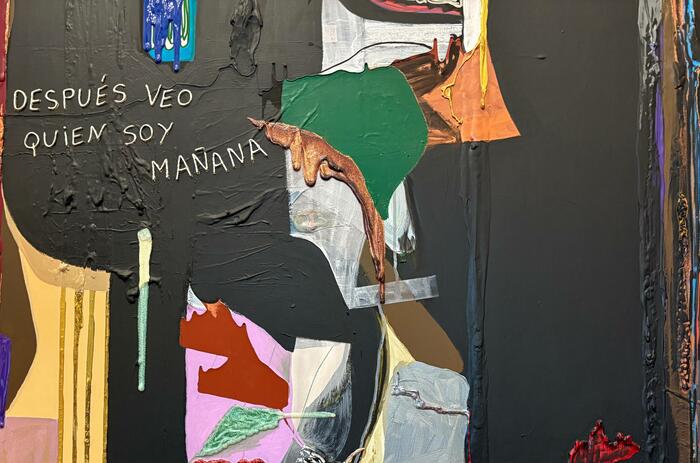 FICTIONS WITH SKIN, A READING OF RUTH BENZACAR'S AUTUMN EXHIBITIONS