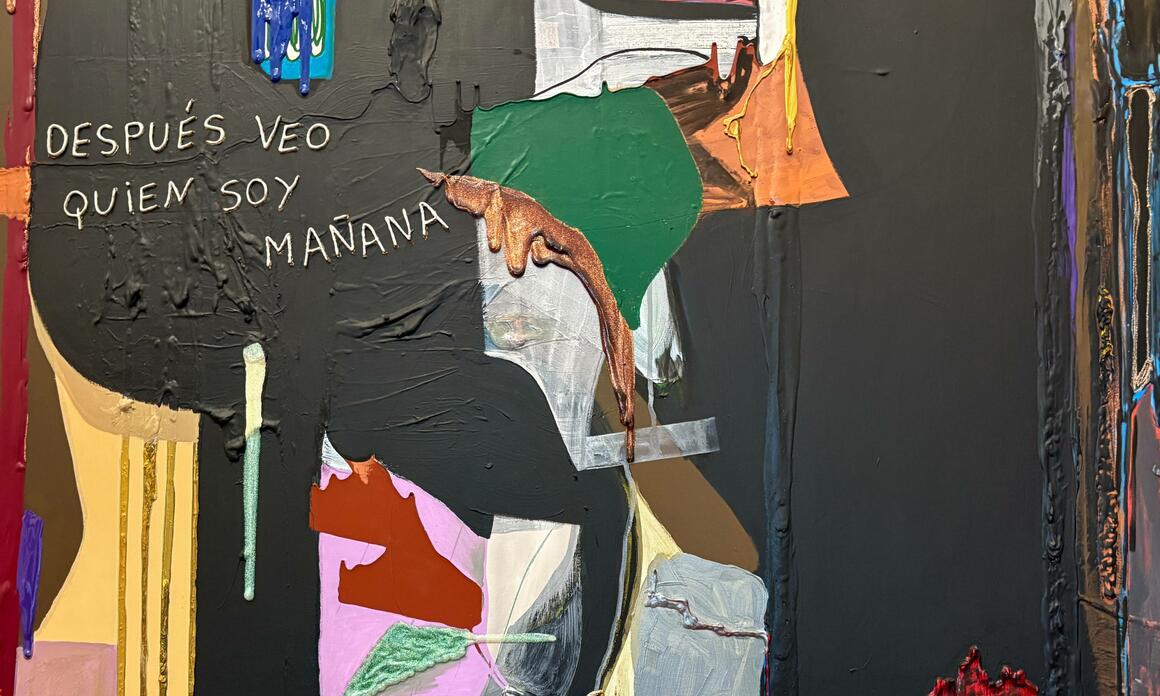 FICTIONS WITH SKIN, A READING OF RUTH BENZACAR'S AUTUMN EXHIBITIONS