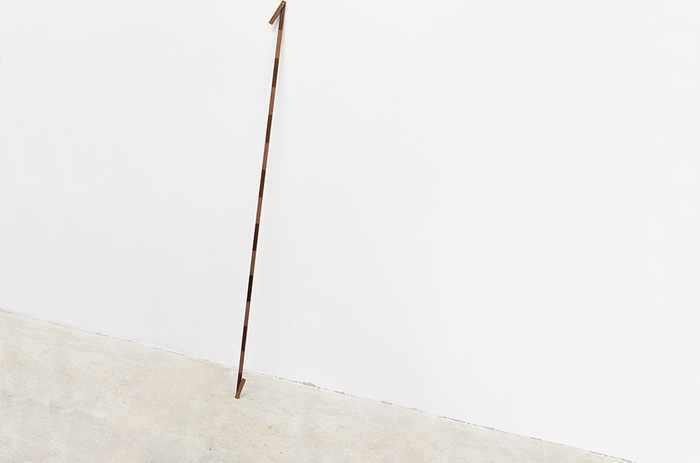 Gerardo Goldwasser, Medidas rígidas [Rigid Measures], 2015. Wood and varnish, 100 cm. long / Madera y barniz, 100 cm, largo.