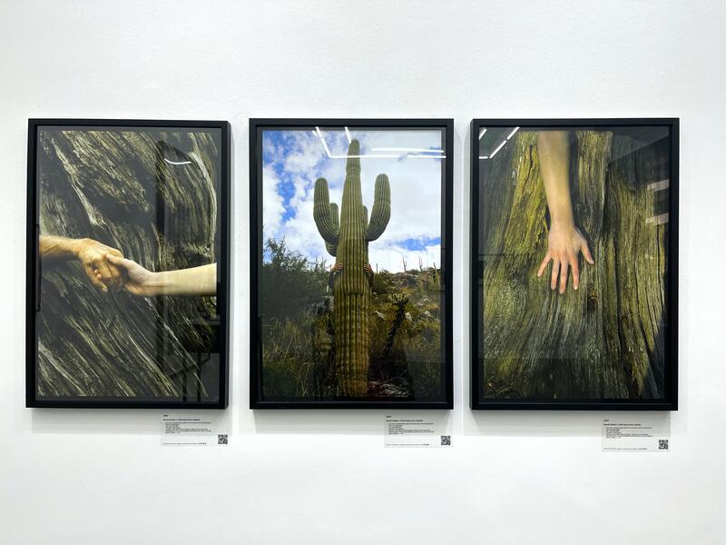 HUMANS AND NATURE: ARE THEY PART OF THE SAME LANDSCAPE? HUMANS AND NATURE: ARE THEY PART OF THE SAME LANDSCAPE?