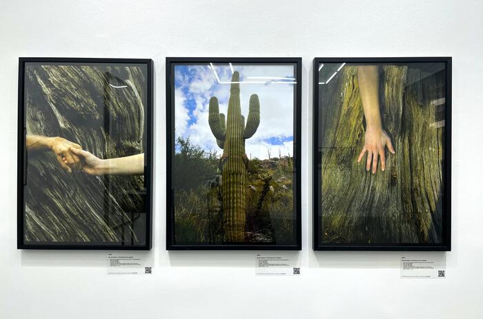 HUMANS AND NATURE: ARE THEY PART OF THE SAME LANDSCAPE?