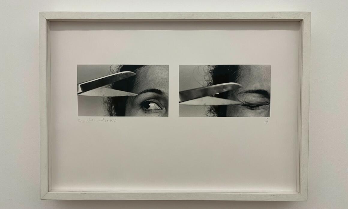 THE GEOGRAPHY OF MEANINGS BY ANNA MARIA MAIOLINO