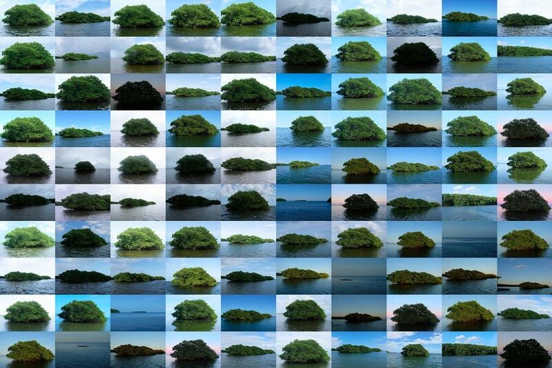 THE SUM OF ITS PARTS: AMALIA CAPUTO’S ‘EVERY BEING IS AN ISLAND’ THE SUM OF ITS PARTS: AMALIA CAPUTO’S ‘EVERY BEING IS AN ISLAND’