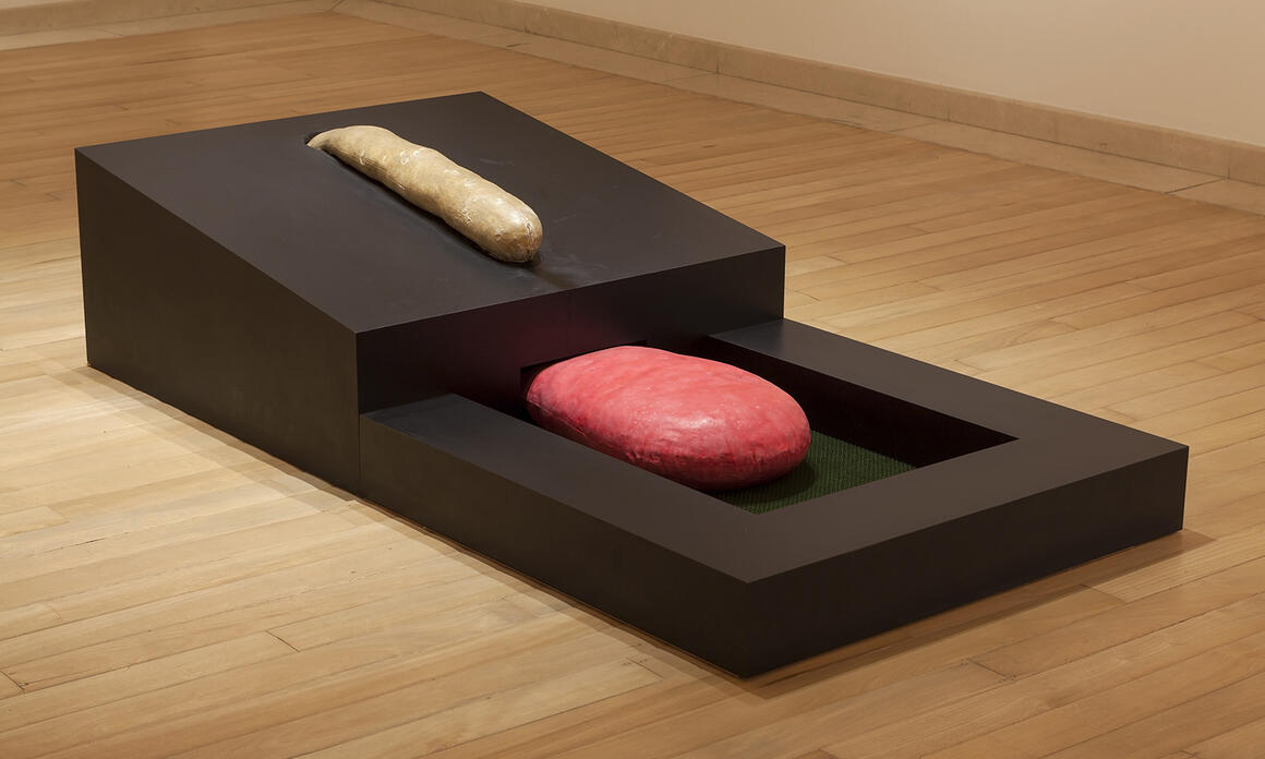 Antonio Dias, No meu jardín [En mi jardín], 1967. Acrílico, espuma, laminado de melanina sobre aglomerado, lona, parafina, plástico y tejido. 44,7 x 99,8 x 200 cm. Colección Roger Wright, en comodato con la Pinacoteca do Estado de São Paulo. Foto: Isabella Matheus.