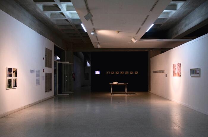 Des-patriados. Jesús Briceño, 2018. MACZUL. Des-patriados. Jesús Briceño, 2018. MACZUL.