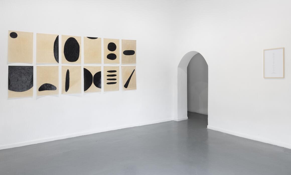 "Los movimientos alrededor del sol", Francisco Vazquez Murillo. Ph: @botonrojo.