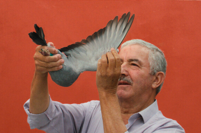 JONATHAS DE ANDRADE’S EXPLORATION ON HUMANS AND PIGEONS