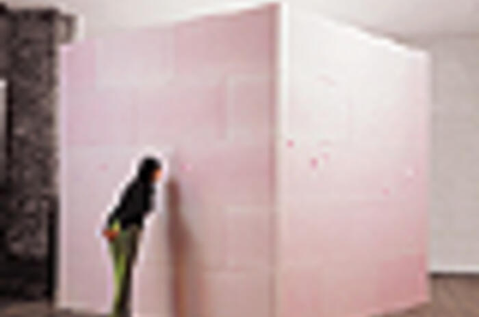 Reviews - Karin Waisman