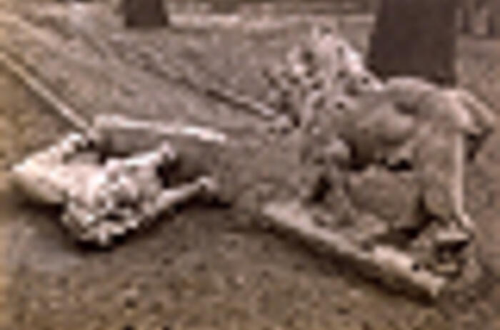 Reviews - Manuel Alvarez Bravo